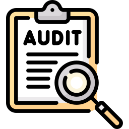 audit icon